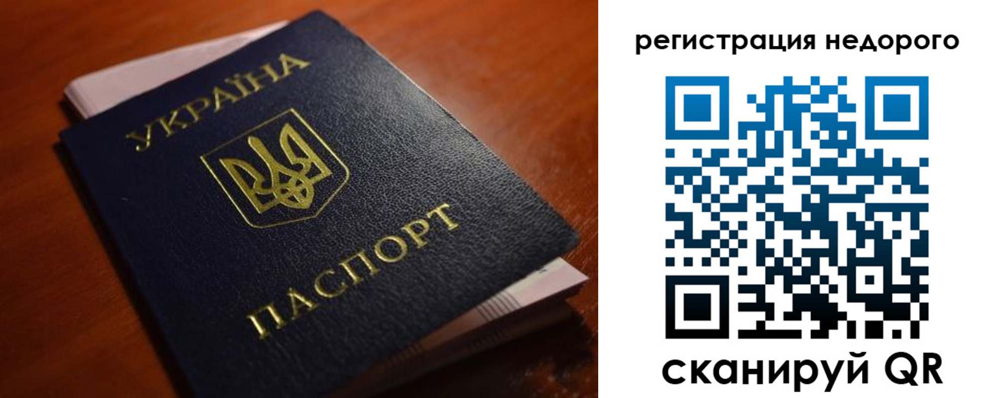 где прописаться в Ленинградской области